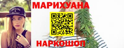 сатива Будённовск