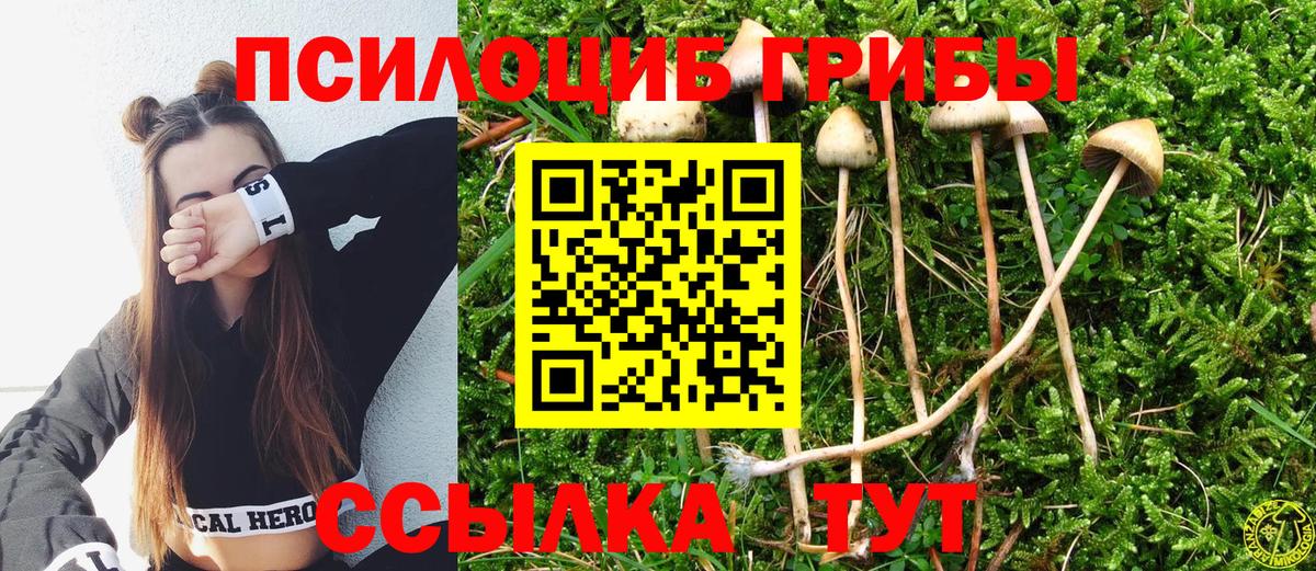 Псилоцибиновые грибы GOLDEN TEACHER Кыштым