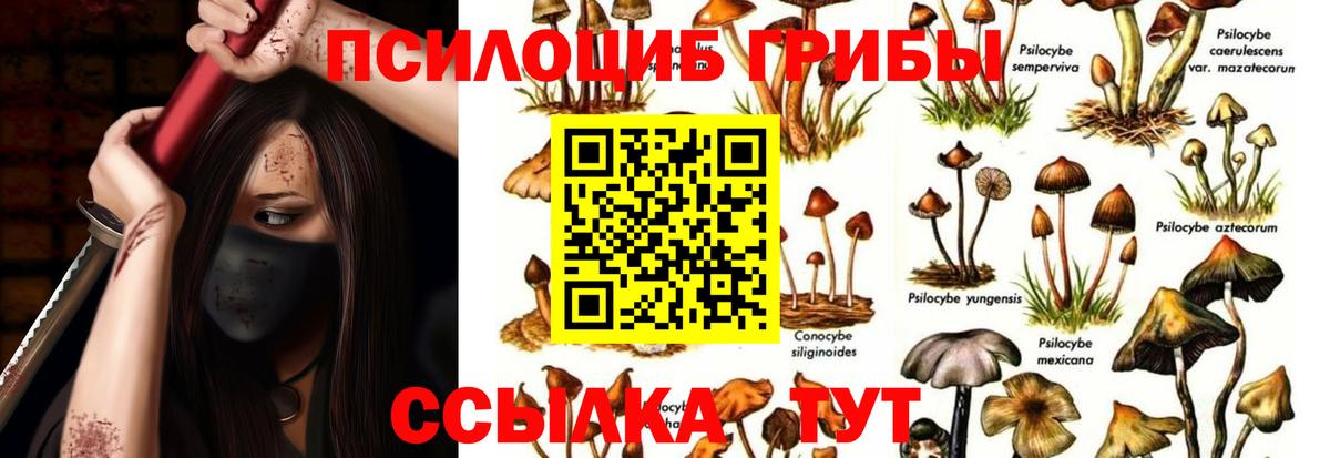 Кыштым  Псилоцибиновые грибы Cubensis  Вход с VPN  Псилоцибиновые грибы прущие грибы 